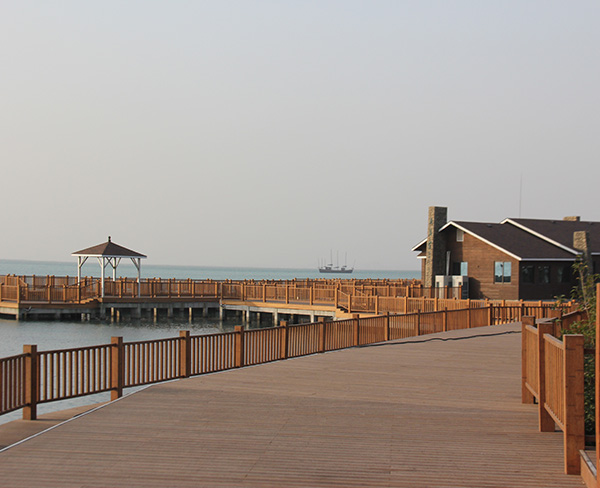 竹木護(hù)欄和扶手板