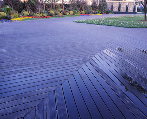 華家池一號(hào)