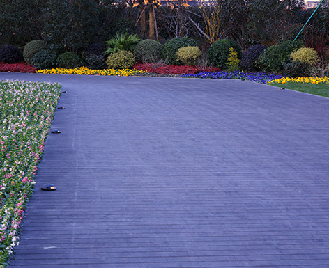 華家池一號(hào)