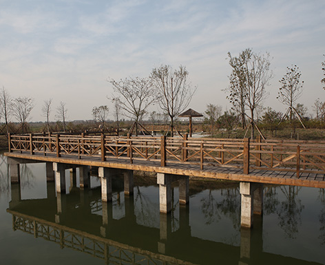 杭州竹木地板工程