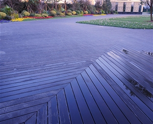 華家池一號(hào)