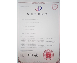 公司專利證書
